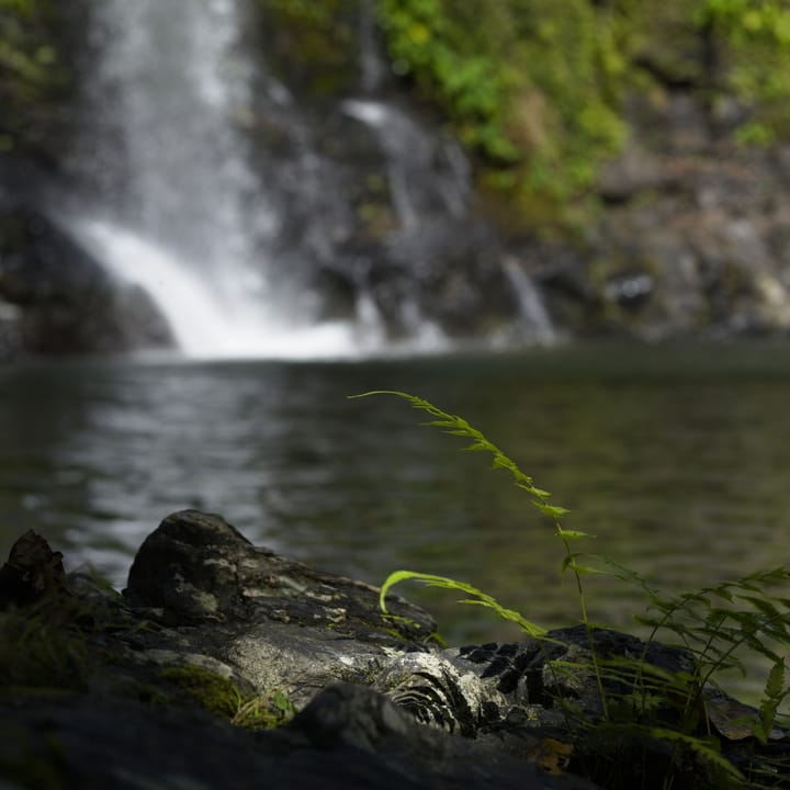 Cassowary Falls
